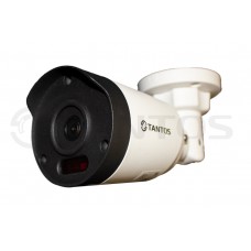 IP камера Tantos TSi-P25FPA